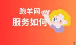 跑羊游戏交易平台的服务态度如何？